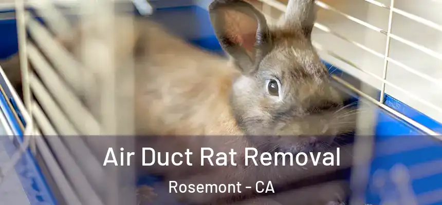  Air Duct Rat Removal Rosemont - CA