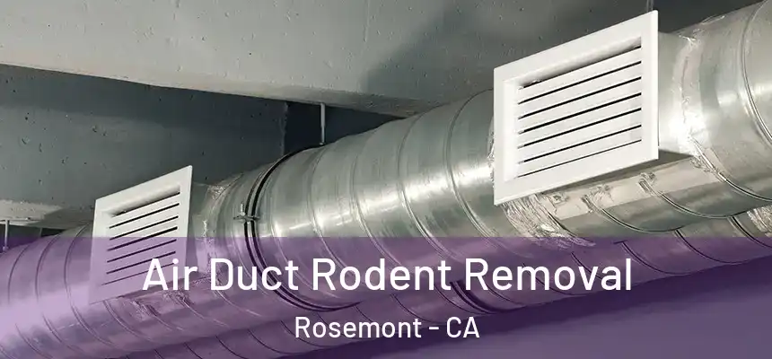  Air Duct Rodent Removal Rosemont - CA