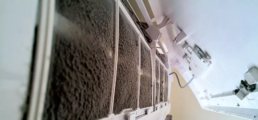 Preventive Air Duct Bacteria Removal in Rosemont