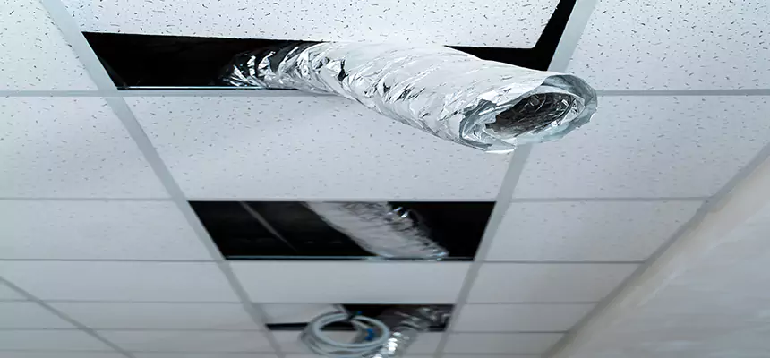 Affordable HVAC Sanitizing After Pest Removal in Rosemont