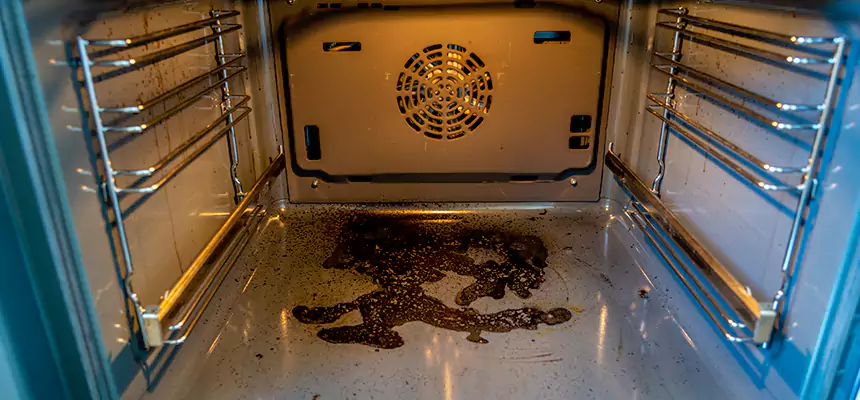 Our Dryer Vent Mold Cleaning Services in Rosemont, CA