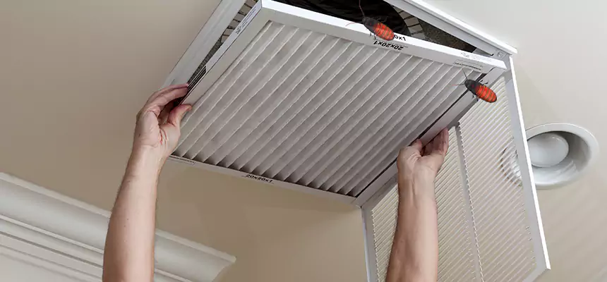 Our Insect Removal from Air Ducts Services in Rosemont, CA