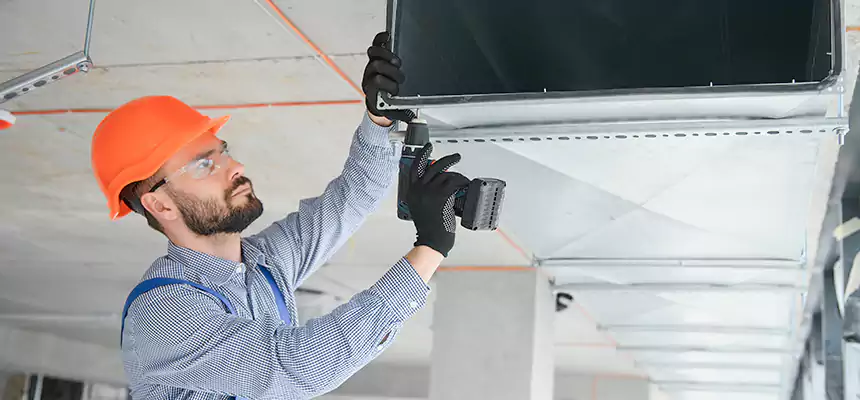 Roof Cap & Exterior Hood Lint Buildup Removal – Rosemont