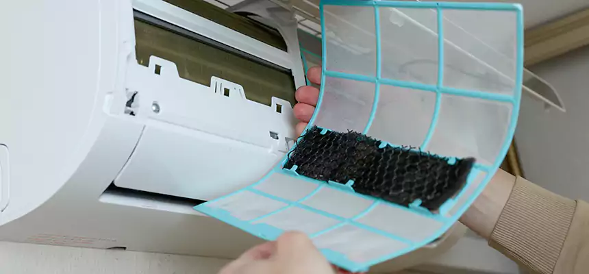 Gentle Ductwork Odor-Control Pet Dander Duct Cleaning in Rosemont, CA