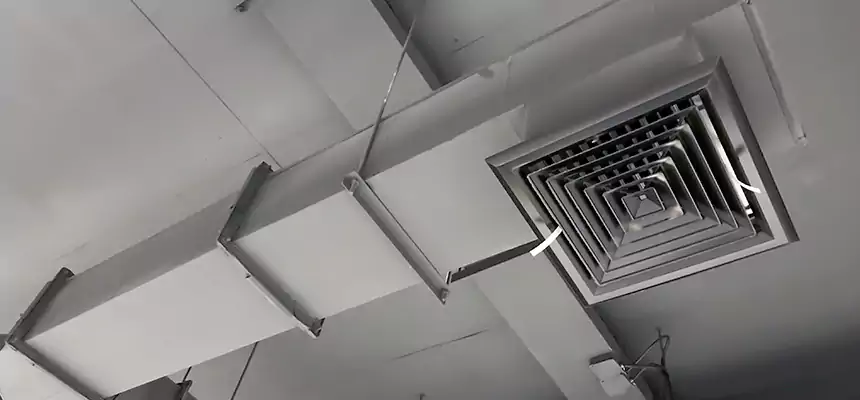 Our Rodent Droppings In Vents Services in Rosemont, CA