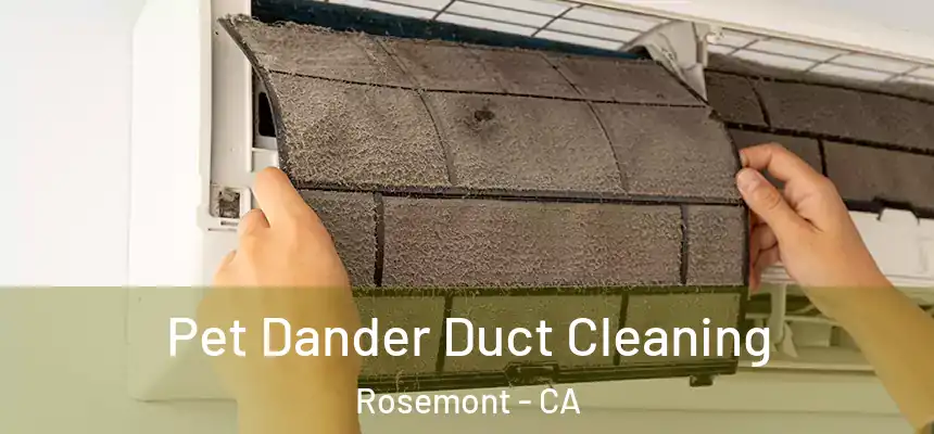  Pet Dander Duct Cleaning Rosemont - CA