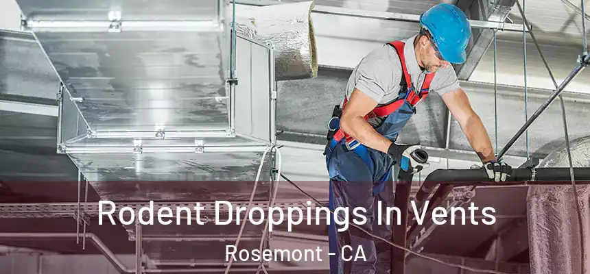  Rodent Droppings In Vents Rosemont - CA