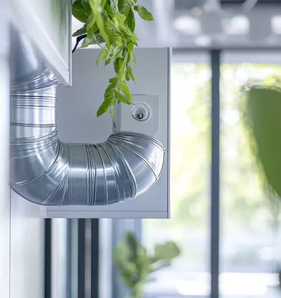 Professional Eco-Safe Dryer Vent Cleaning in Rosemont, CA