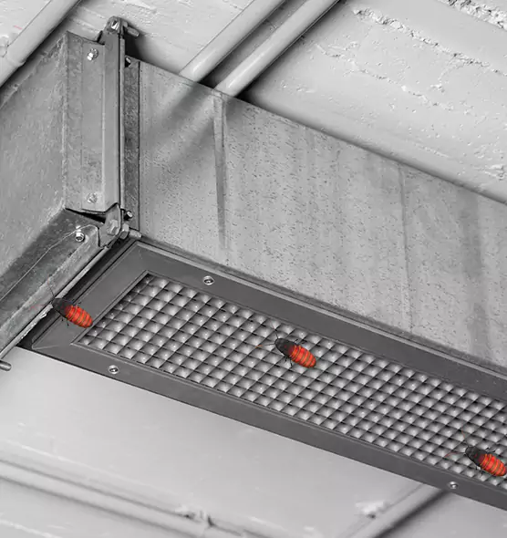Affordable Insect Removal from Air Ducts in Rosemont, CA