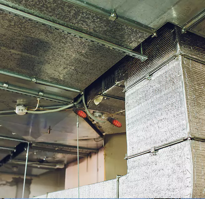 Why Homeowners & Businesses Trust Us in Rosemont, CA?