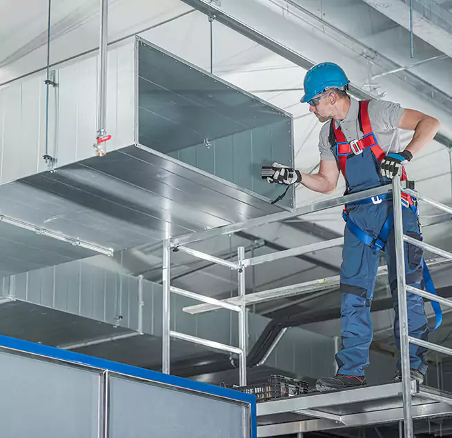 Why Homeowners & Businesses Trust Us in Rosemont, CA?