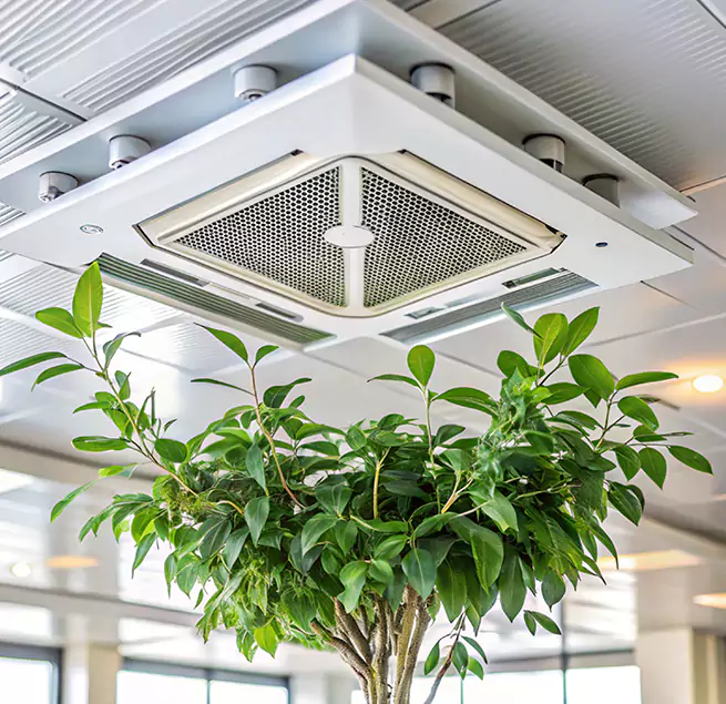 Why Homeowners & Businesses Trust Us in Rosemont, CA