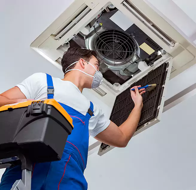 Why Homeowners & Businesses Trust Us in Rosemont, CA?