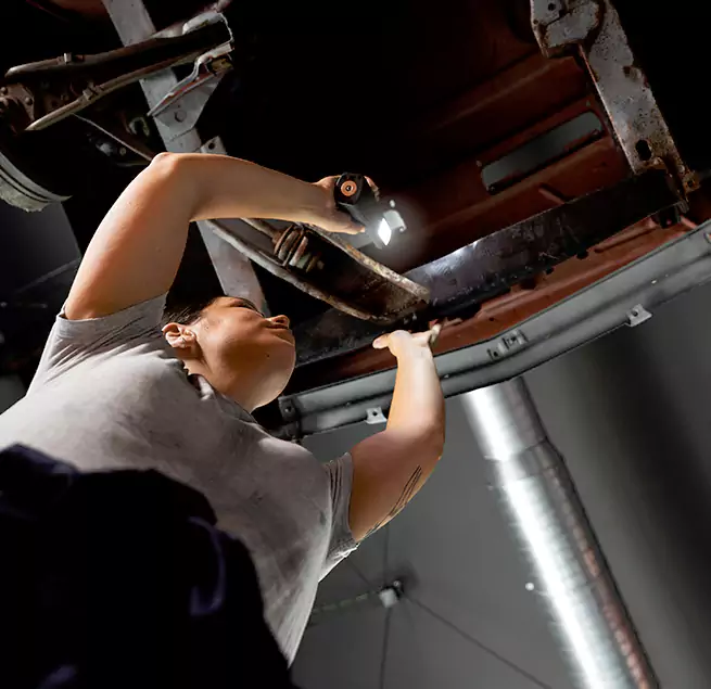 Why Homeowners & Businesses Trust Us Rosemont, CA