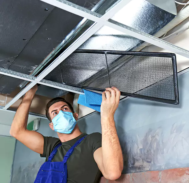 Why Homeowners & Businesses Trust Us in Rosemont, CA?